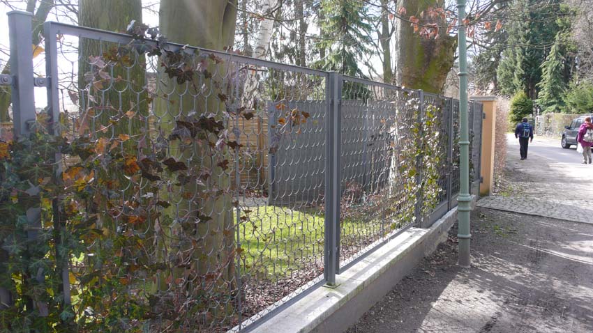 Schuppengeflechtzaun, Schinkelzaun
