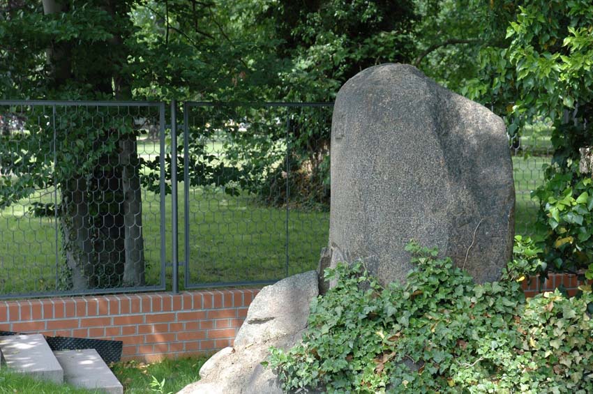 Schuppengeflechtzaun, Schinkelzaun