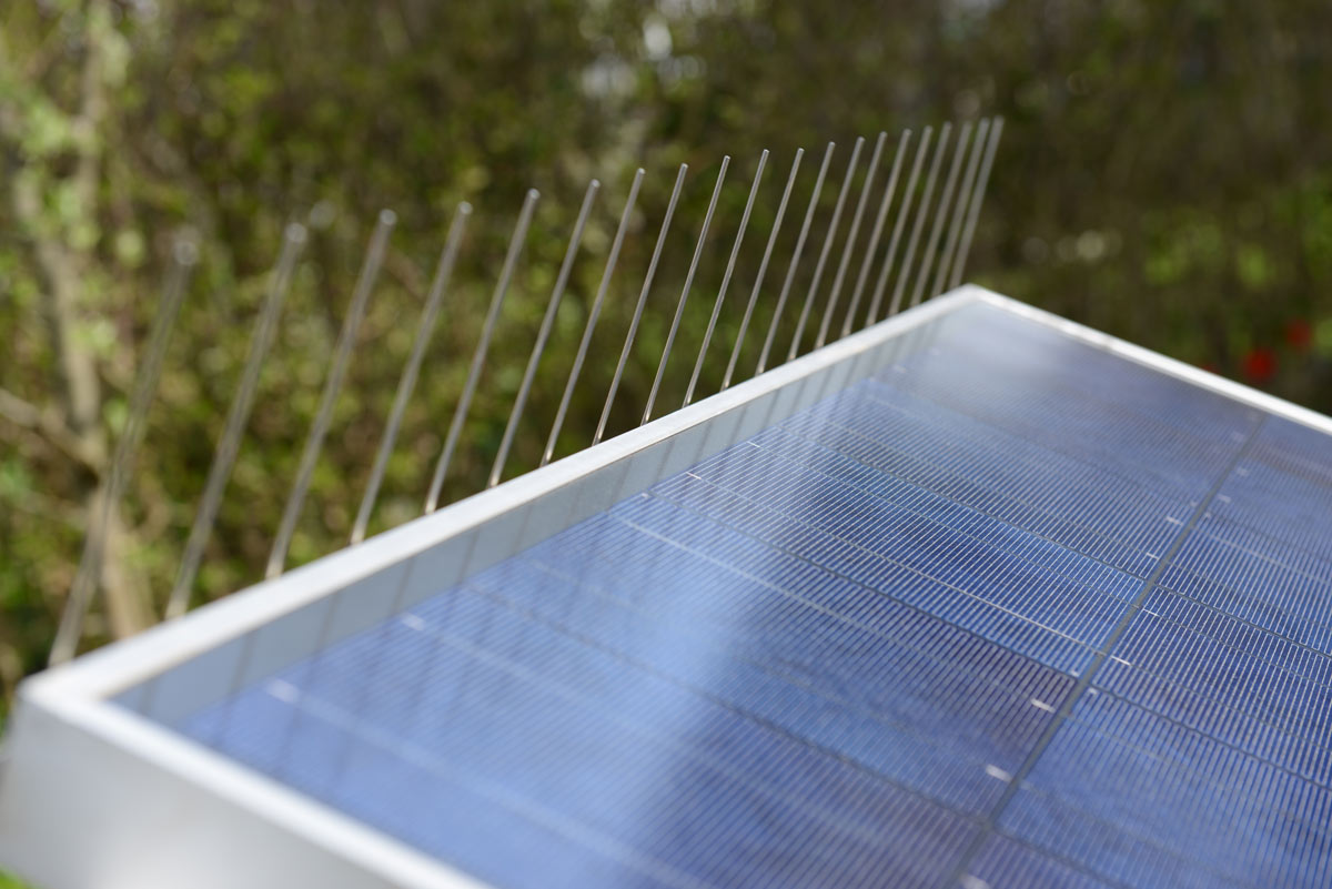 Taubenabwehr für Solarmodule