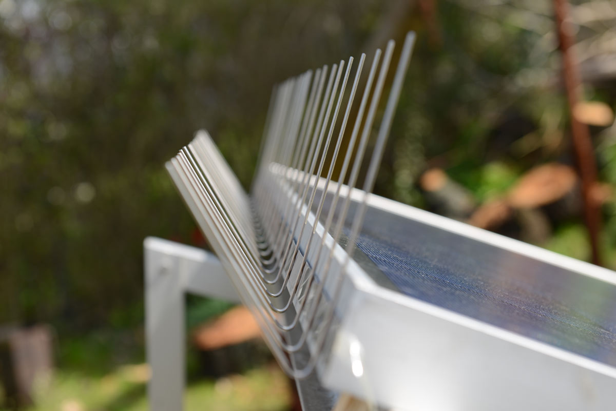 Taubenabwehrspikes für Solaranlagen