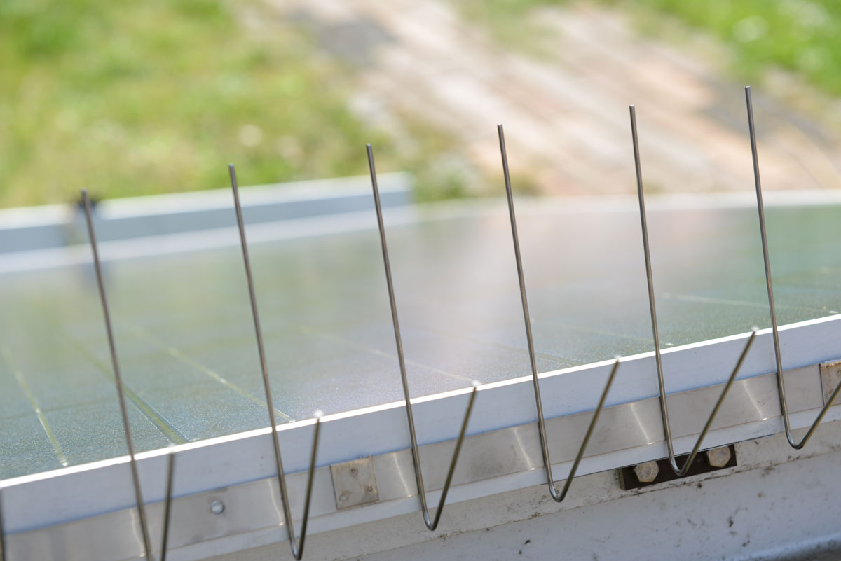 Taubenabwehrspikes für Solaranlagen