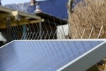 Bild: Taubenabwehr für Solarmodule