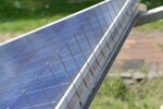 Bild: Taubenabwehr für Solarmodule